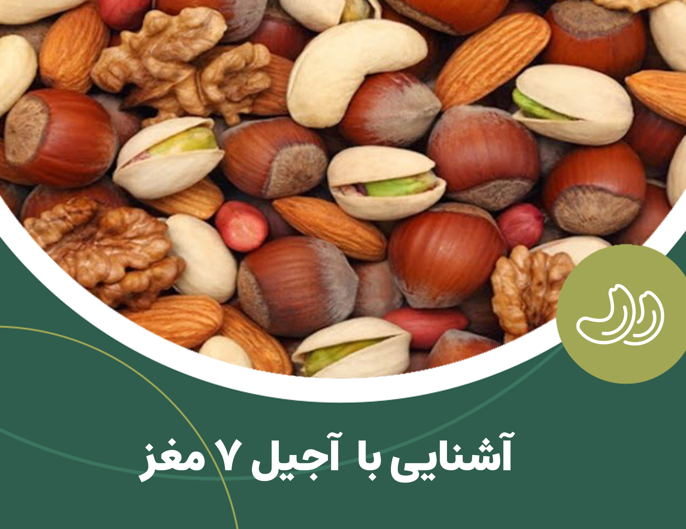 آشنایی با آجیل 7 مغز