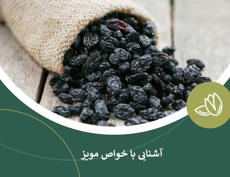 آشنایی با خواص خشکبار مویز