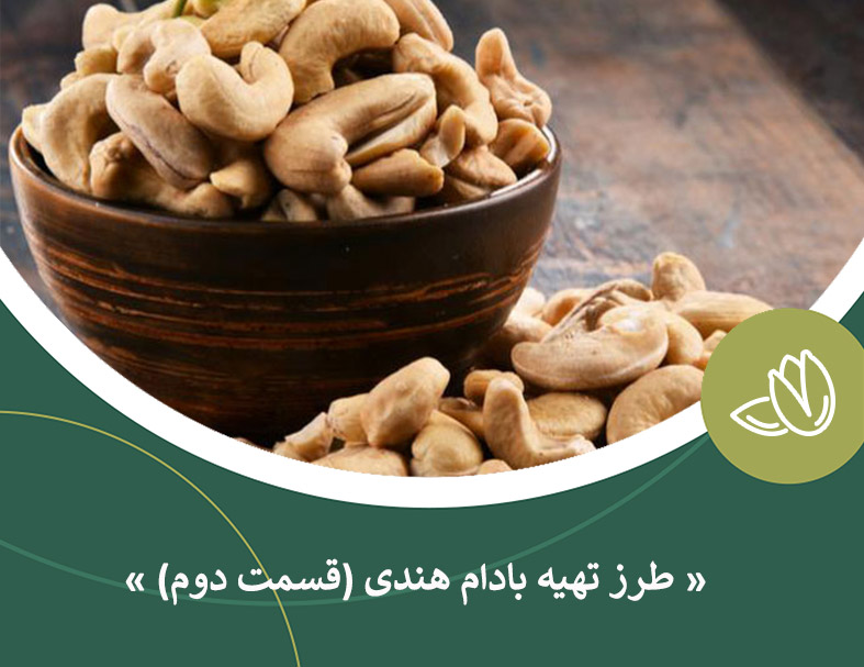 طرز تهیه بادام هندی (قسمت دوم)