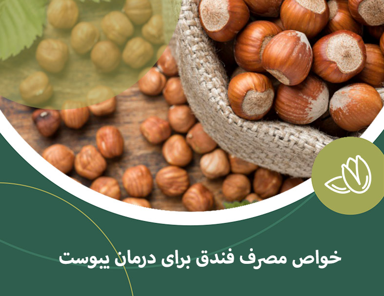 خواص مصرف فندق برای درمان یبوست