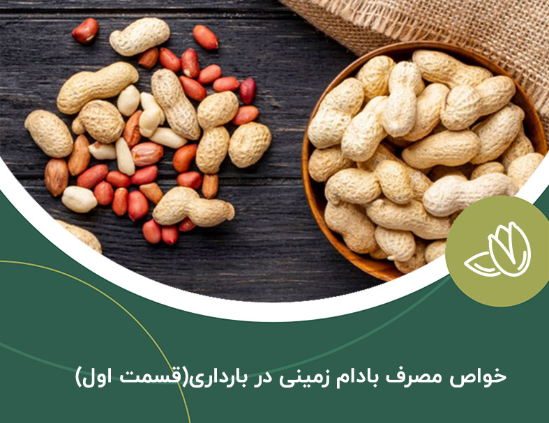 خواص مصرف بادام زمینی در بارداری (قسمت اول)