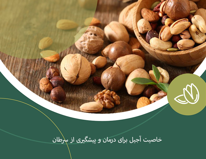 خواص آجیل برای درمان و پیشگری از سرطان