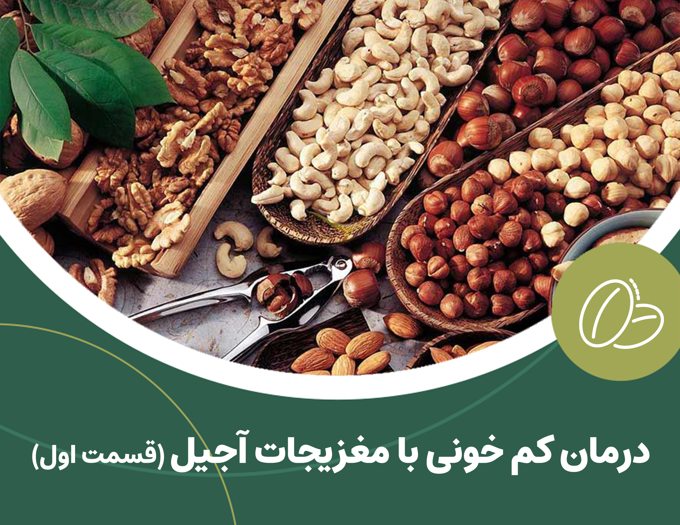 درمان کم خونی با مغزیجات آجیل (قسمت اول)