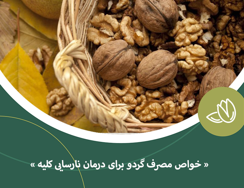 خواص مصرف گردو برای درمان نارسایی کلیه