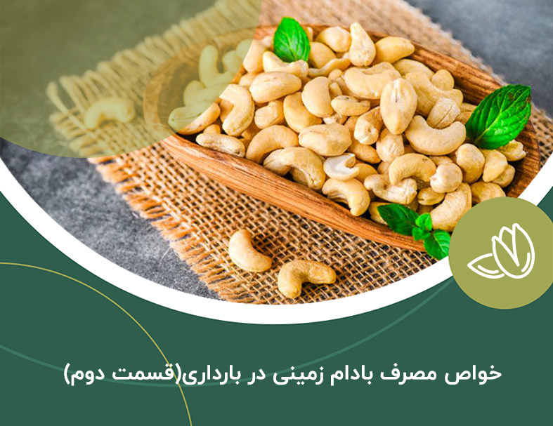 خواص مصرف بادام زمینی در بارداری(قسمت دوم)