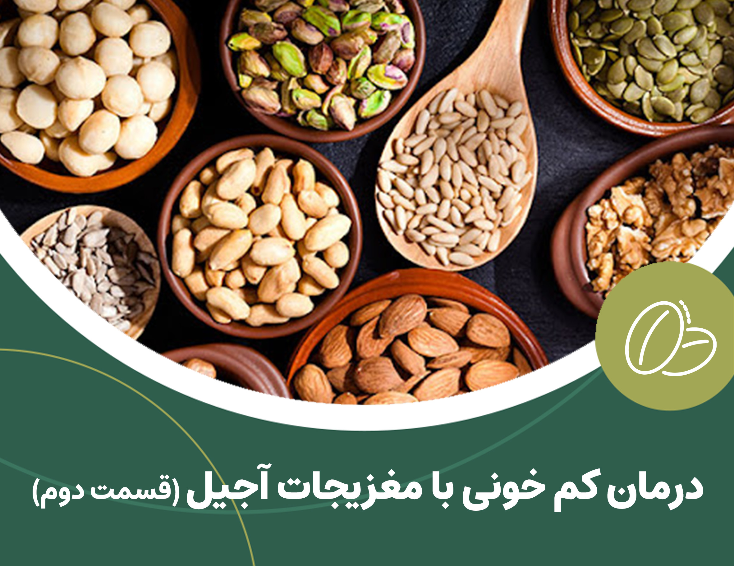درمان کم خونی با مغزیجات آجیل(قسمت دوم)