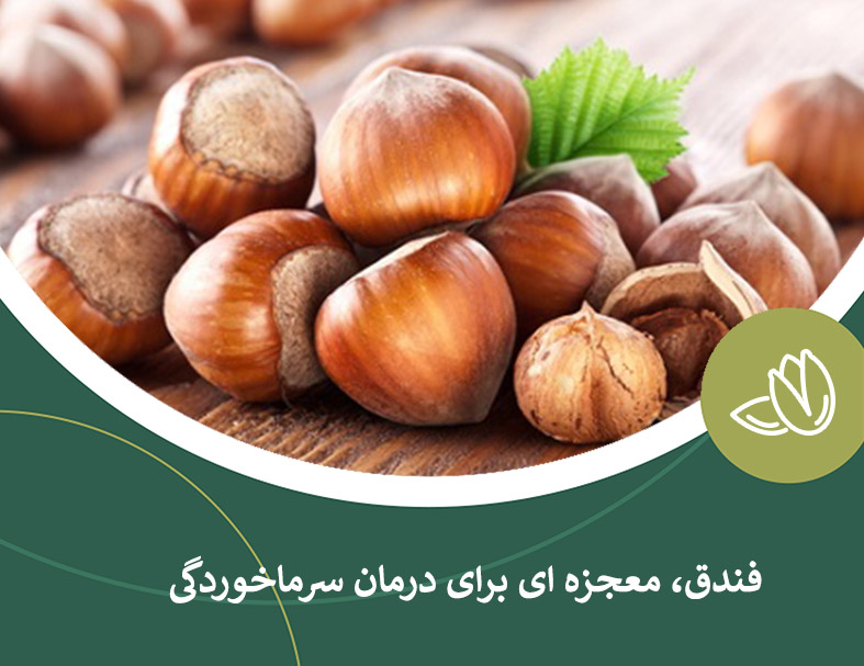 فندق، معجزه ای برای درمان سرما خوردگی