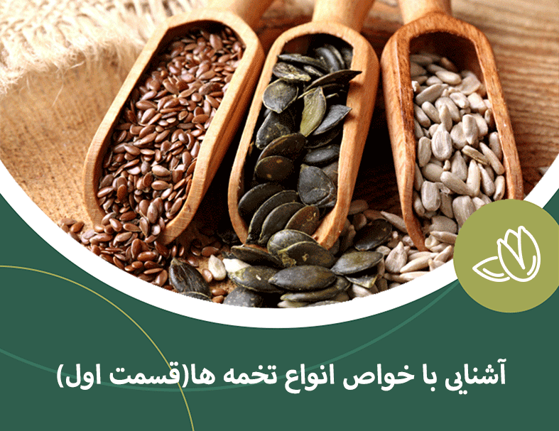 آشنایی با خواص انواع تخمه ها (قسمت اول)