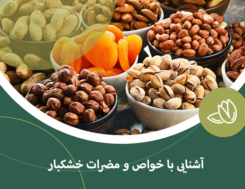آشنایی با خواص و مضرات خشکبار